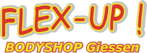 Flex-up-logo-vektorn